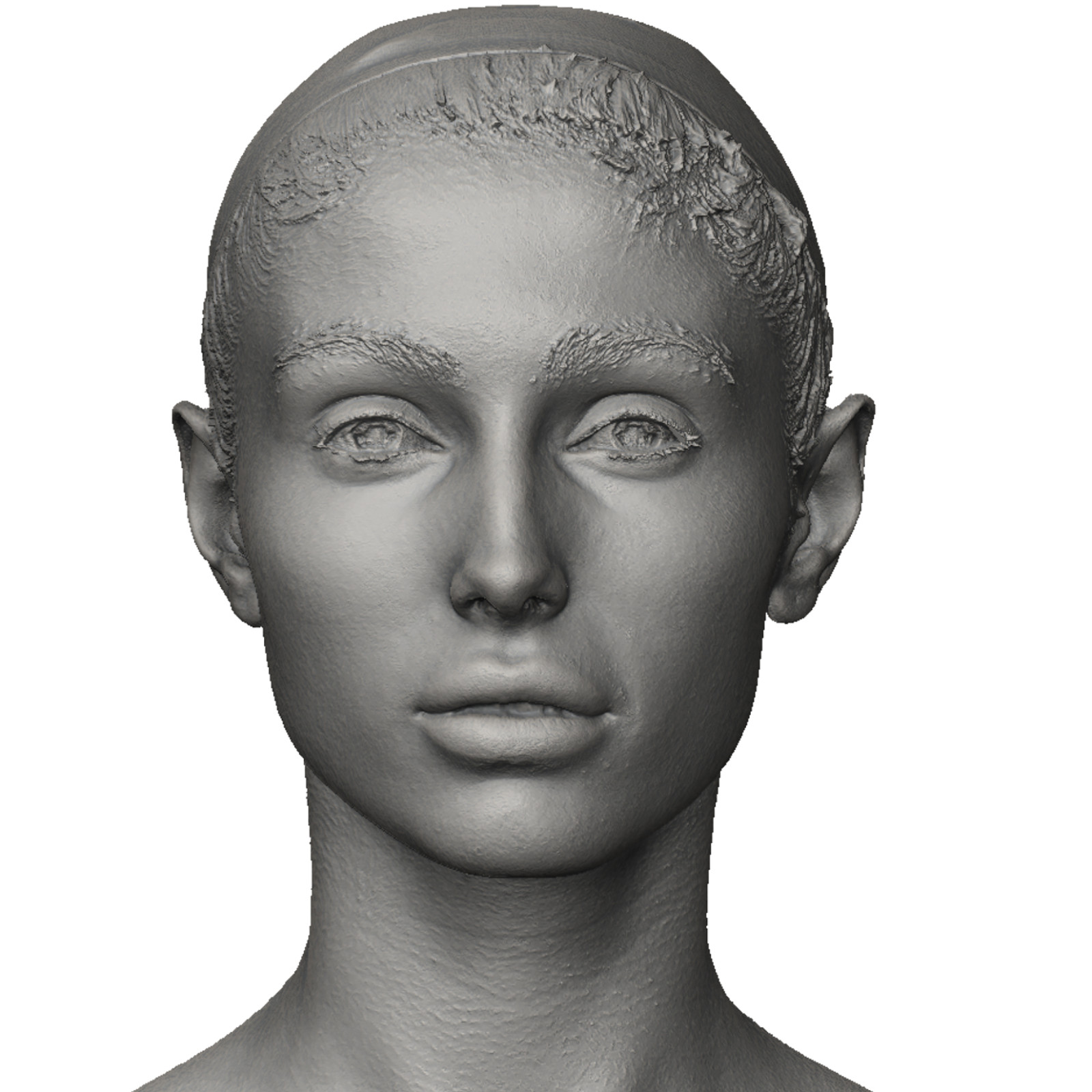 Female 3d Head Scan